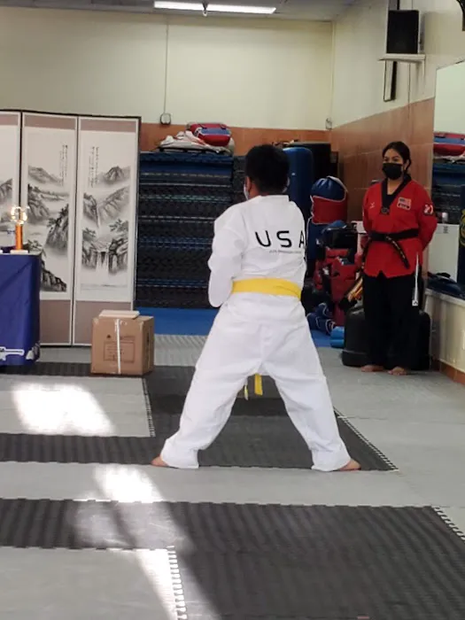Elite Tae Kwon Do Picture 6