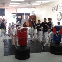 Elite Tae Kwon Do Picture 4