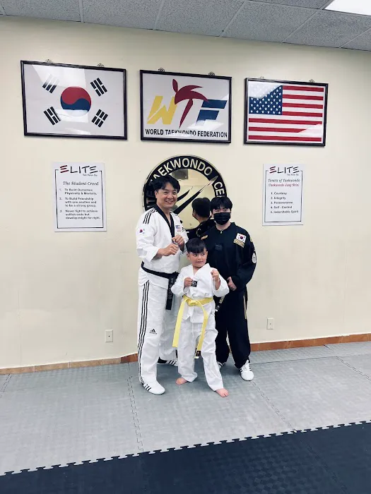 Elite Tae Kwon Do Picture 3