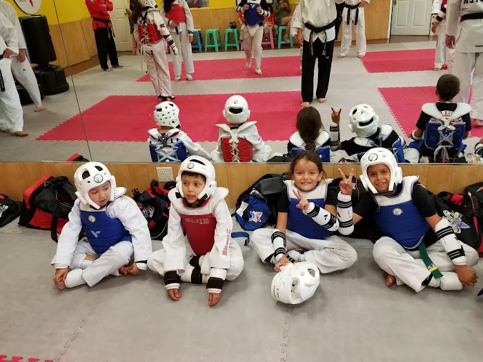 Elite Tae Kwon Do Picture 9