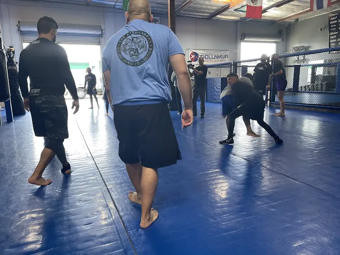 CSW Training Center Brazilian Jiujitsu Picture 7