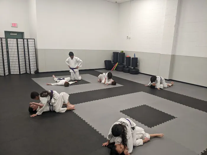 Orange County Karate Center Picture 8