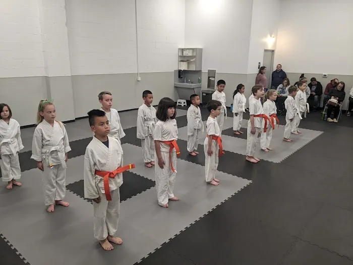 Orange County Karate Center Picture 9