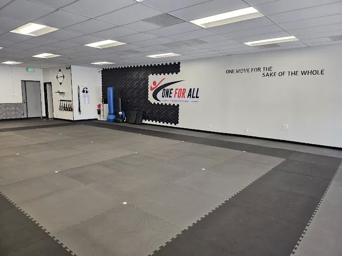 ONE FOR ALL TAEKWONDO Picture 4