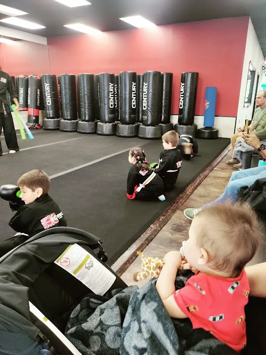 Villatoro Bushido Martial Arts Picture 2