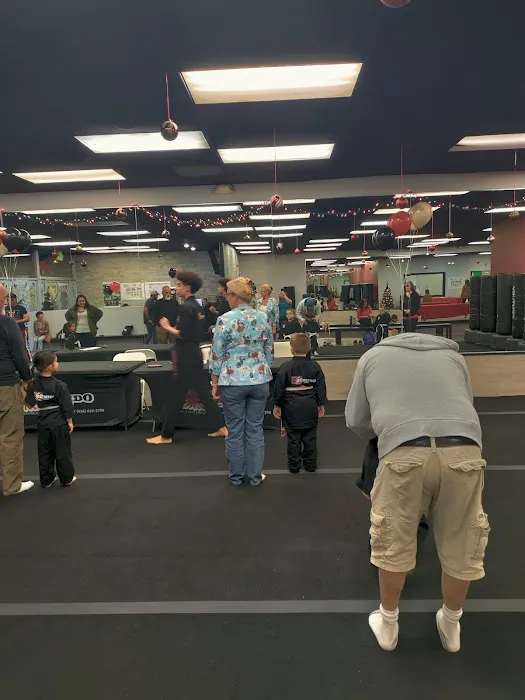 Villatoro Bushido Martial Arts Picture 1