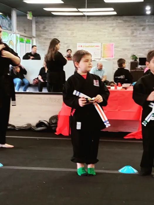 Villatoro Bushido Martial Arts Picture 3