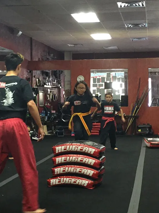 Villatoro Bushido Martial Arts Picture 6