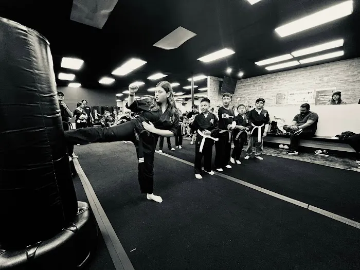 Villatoro Bushido Martial Arts Picture 8