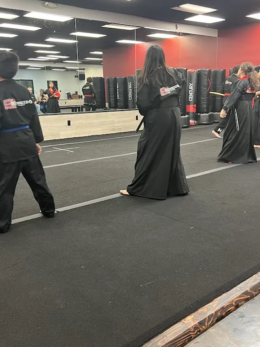 Villatoro Bushido Martial Arts Picture 4