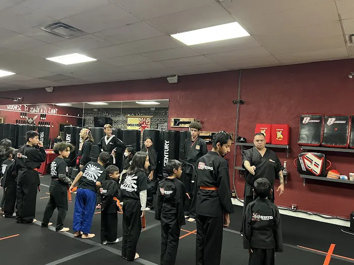 Villatoro Bushido Martial Arts Picture 7