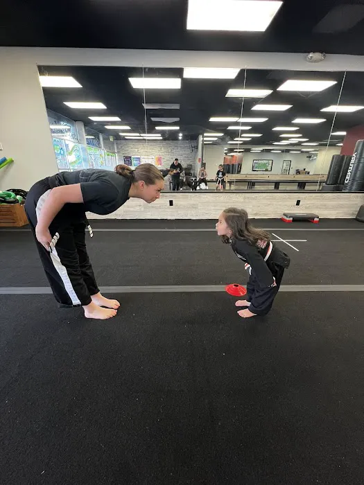 Villatoro Bushido Martial Arts Picture 9