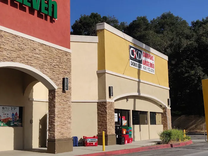 Champions Karate Dojo Picture 1