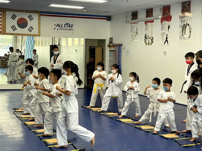 All Star Taekwondo Picture 3