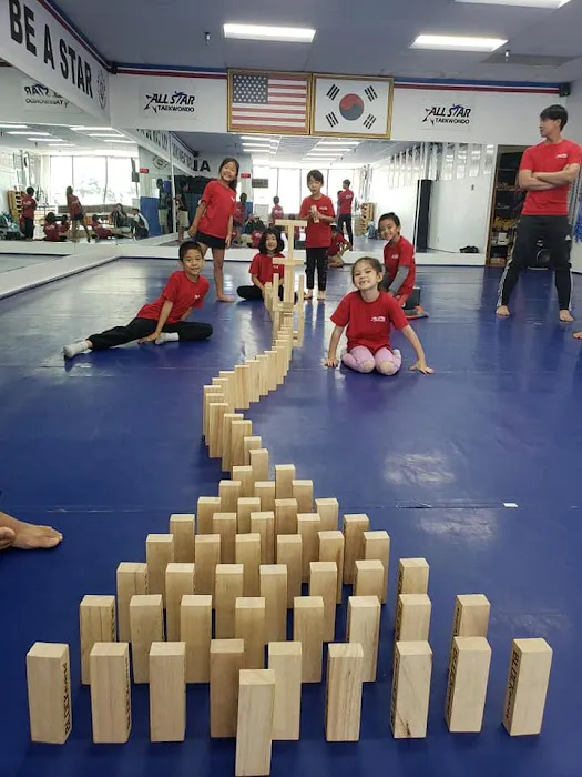 All Star Taekwondo Picture 6