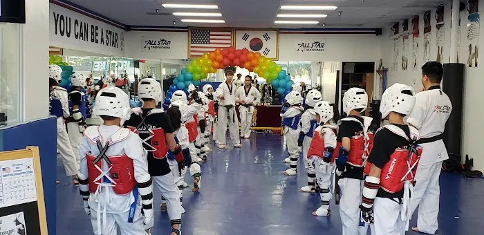 All Star Taekwondo Picture 10