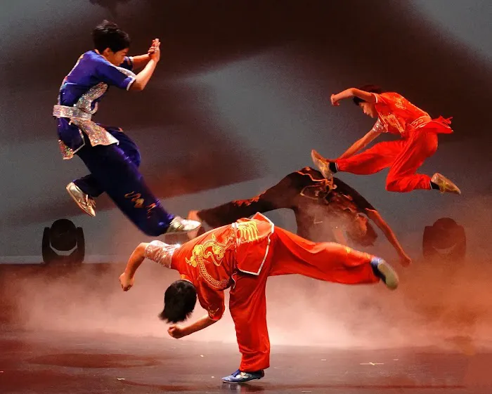 Advance Martial Arts Picture 1