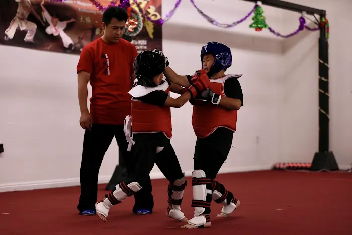 Advance Martial Arts Picture 7