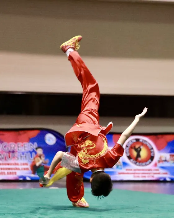Advance Martial Arts Picture 3