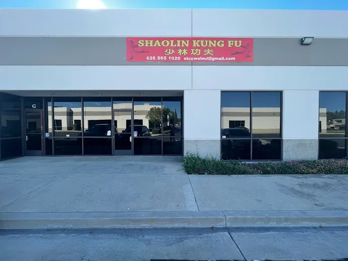 Shaolin Kung Fu Walnut Picture 3