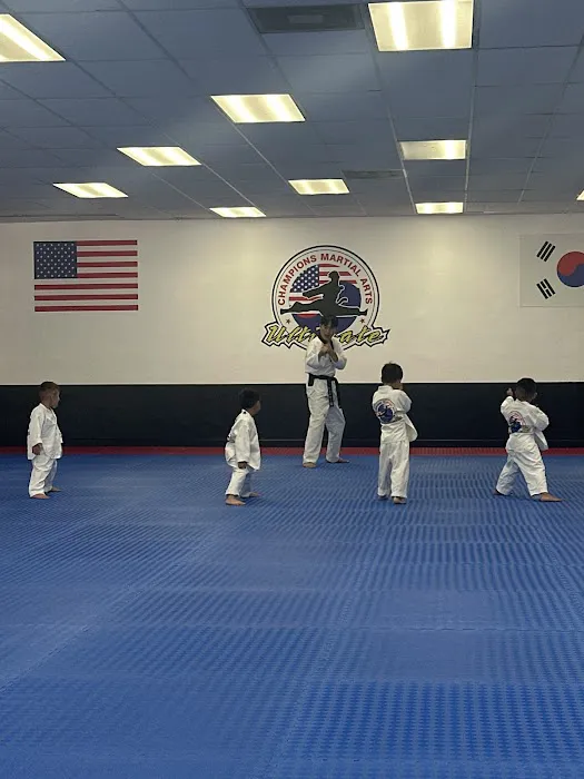 Champions Martial Arts Picture 3