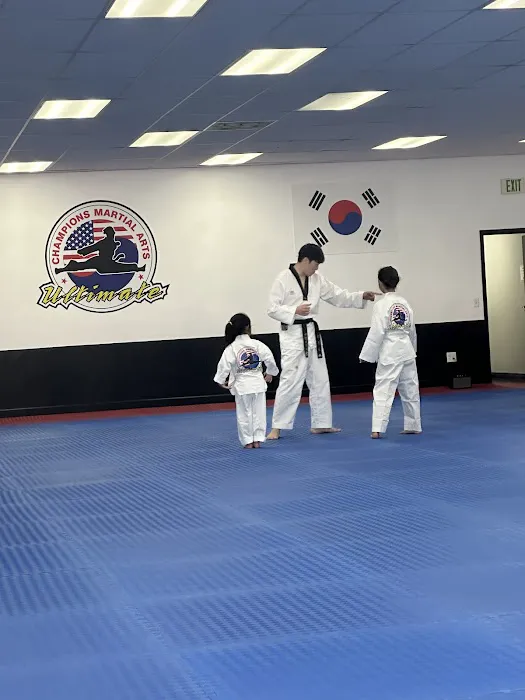 Champions Martial Arts Picture 7