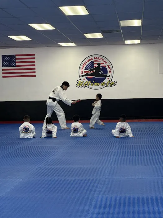 Champions Martial Arts Picture 5