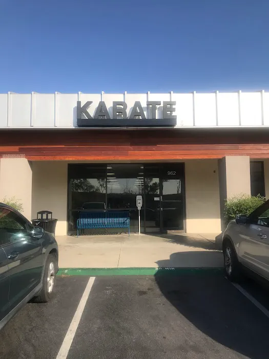 MAX Dojo Karate Picture 5