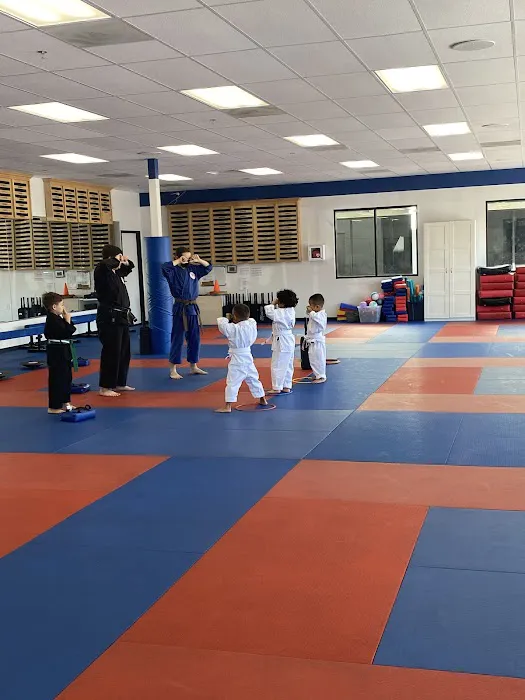 American Martial Arts Academy - Placentia / Yorba Linda Campus - Karate, After-school & Summer Camp Picture 3