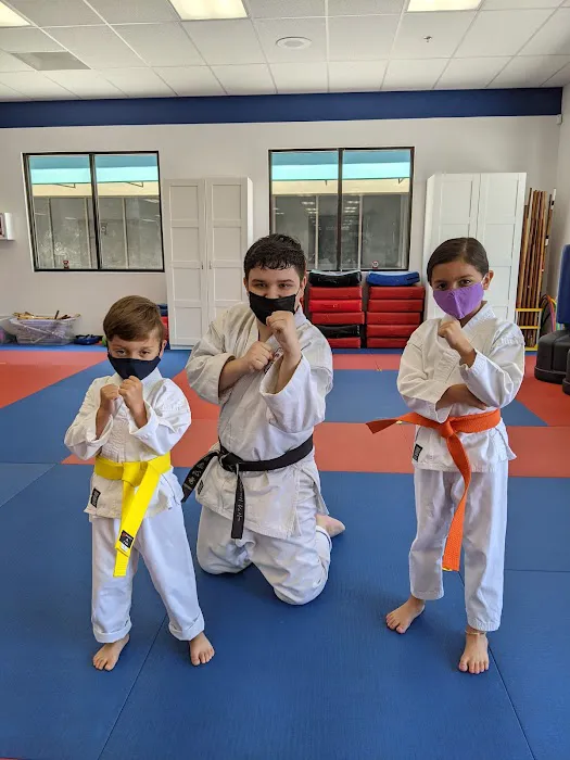 American Martial Arts Academy - Placentia / Yorba Linda Campus - Karate, After-school & Summer Camp Picture 2
