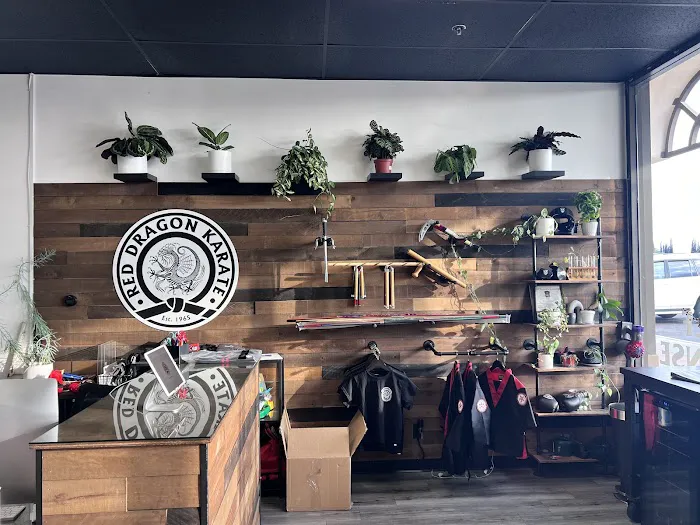 Red Dragon Karate Placentia / Yorba Linda Picture 1
