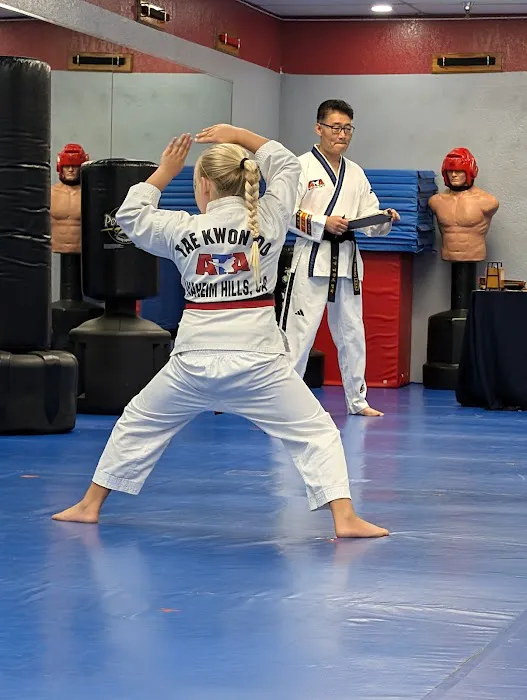 Taekwondo Picture 4