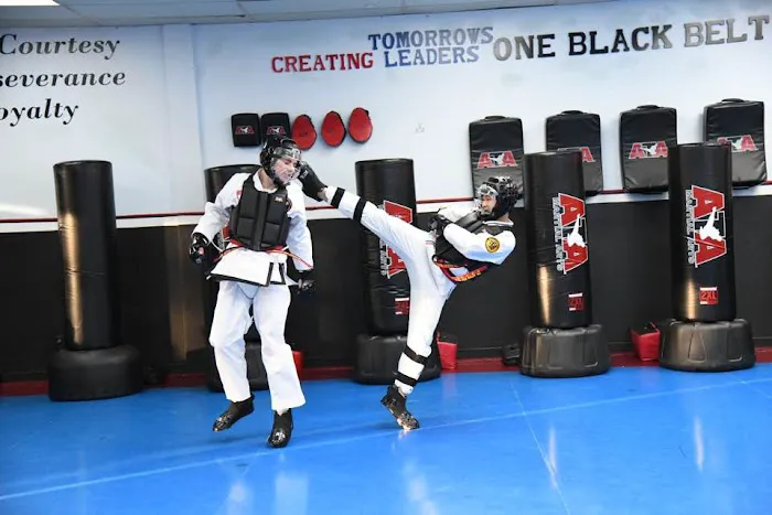 Park ATA Hidden Tiger Martial Arts Picture 5