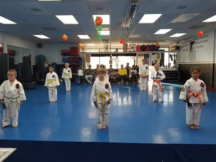 Park ATA Hidden Tiger Martial Arts Picture 3