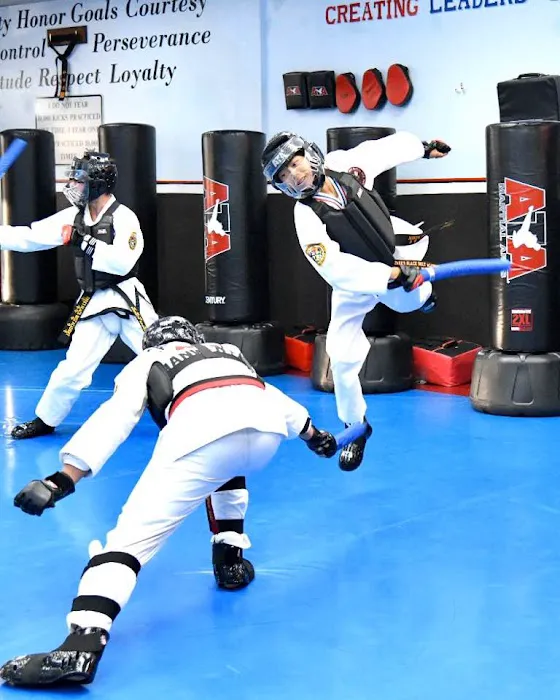 Park ATA Hidden Tiger Martial Arts Picture 7