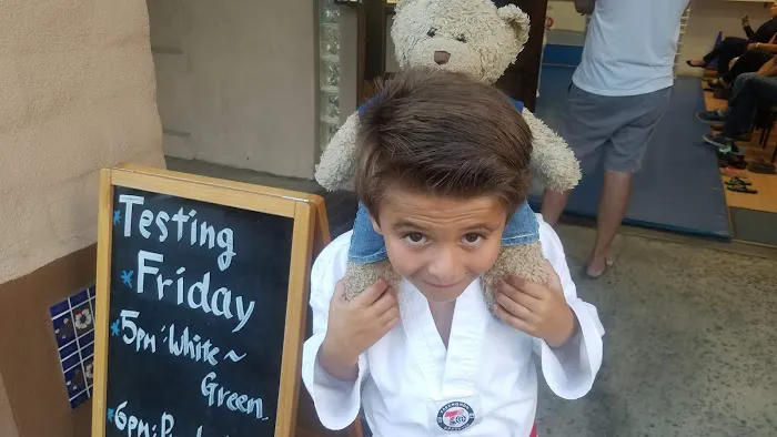 Family Tae Kwon Do Training Center Picture 1