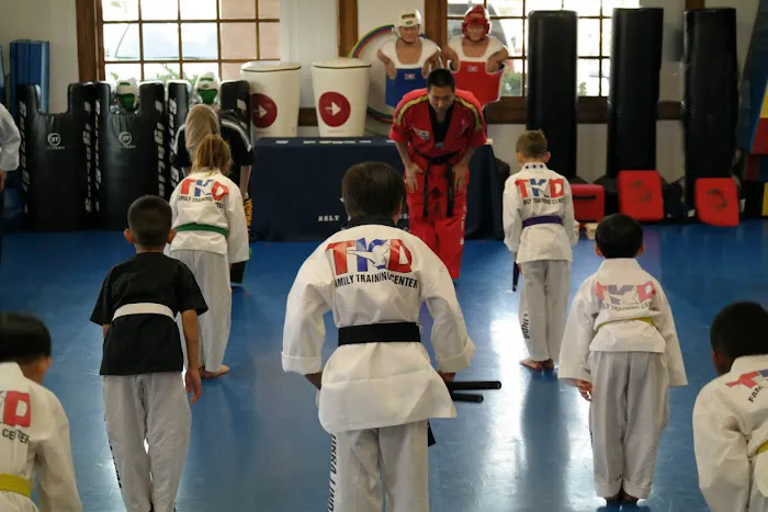 Family Tae Kwon Do Training Center Picture 3