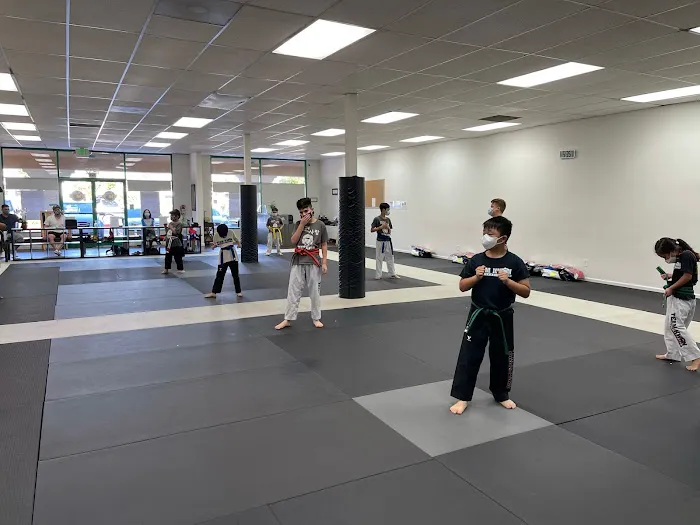 Team Kwon Taekwondo Center - Orange Picture 2