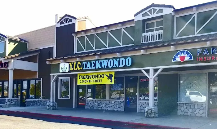 YIC Taekwondo Picture 2