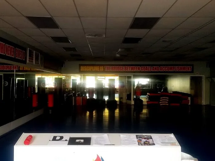 YIC Taekwondo Picture 3