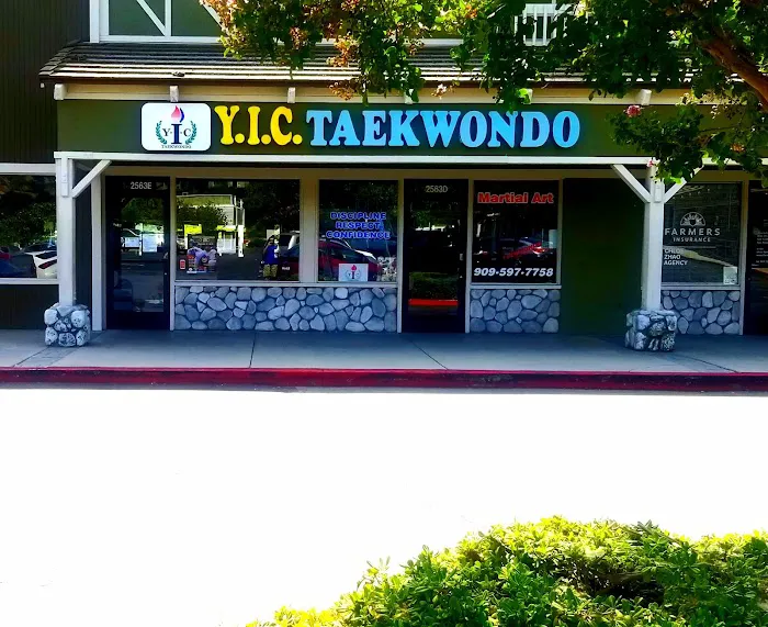 YIC Taekwondo Picture 5