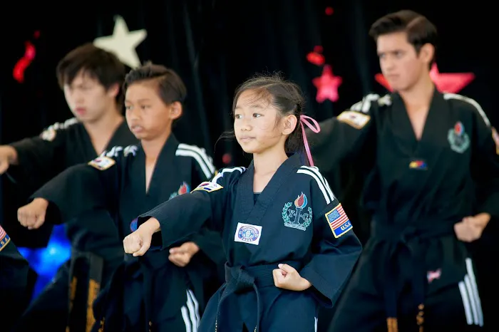 YIC Taekwondo Picture 9