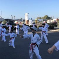 Victory Tae-Kwon-Do ico