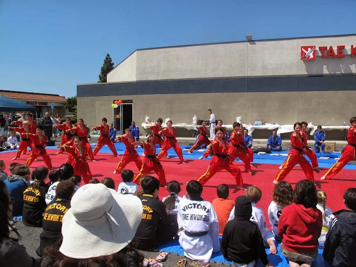 Victory Tae-Kwon-Do Picture 4