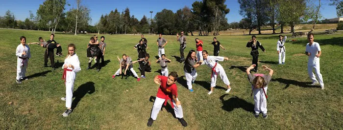 Victory Tae-Kwon-Do Picture 9