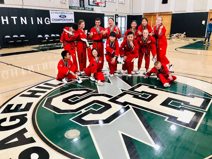 Victory Tae-Kwon-Do Picture 8