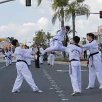 Vietnam Martial Arts Center ico