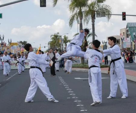 Vietnam Martial Arts Center