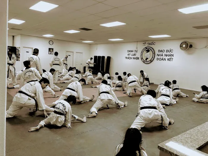 Vietnam Martial Arts Center Picture 3