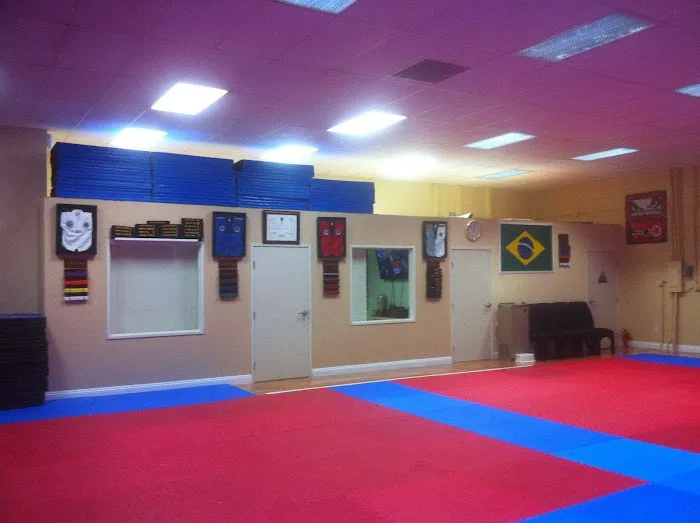 Tom Vo’s Taekwondo Picture 6